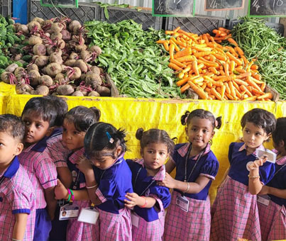Field Trip- Vegetable Market